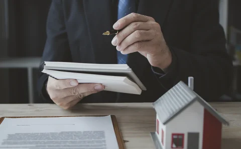 Trámites Relacionados con Tierras y Propiedades en Colón